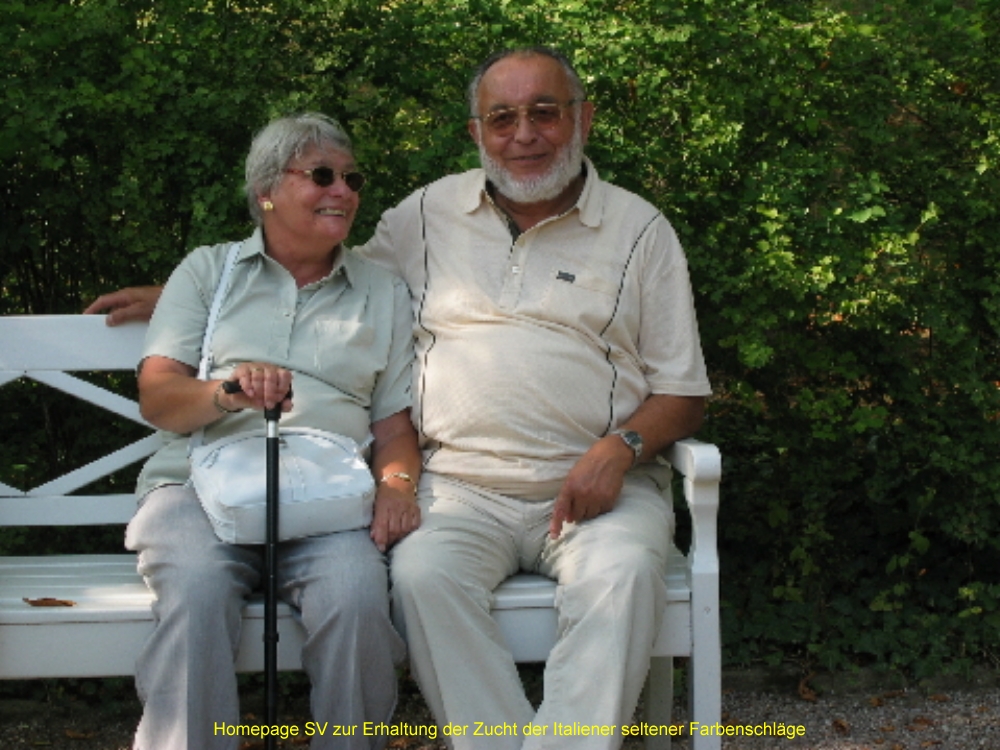 2004-Sommertagung 1