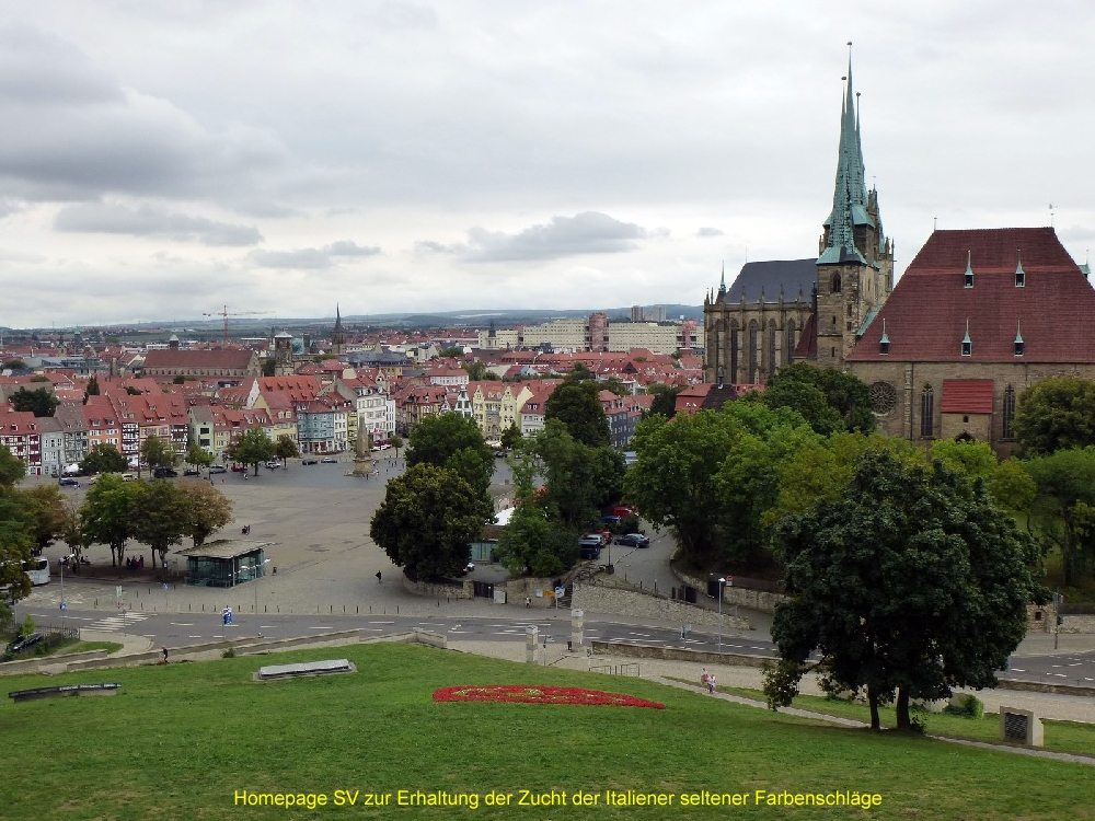 10-Blick auf Erfurt von Zitadelle Petersberg