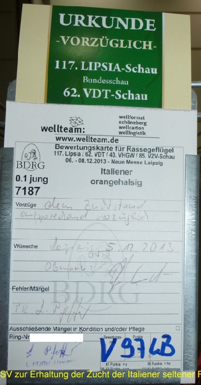 7187_1_Leipzig_2013